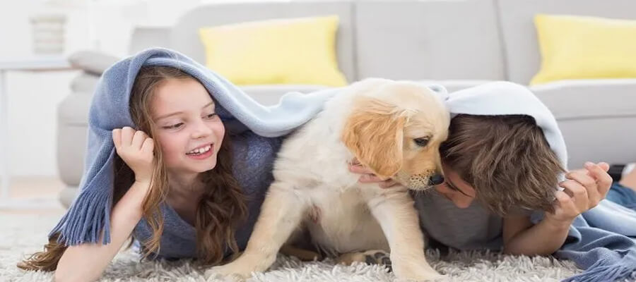 The Best Games to Play with Your New Puppy